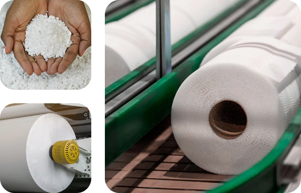 Descubra nosso papel no cuidado do planeta Descubra nosso papel no cuidado do planeta