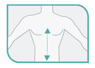 Medir a altura do esterno até o púbis.