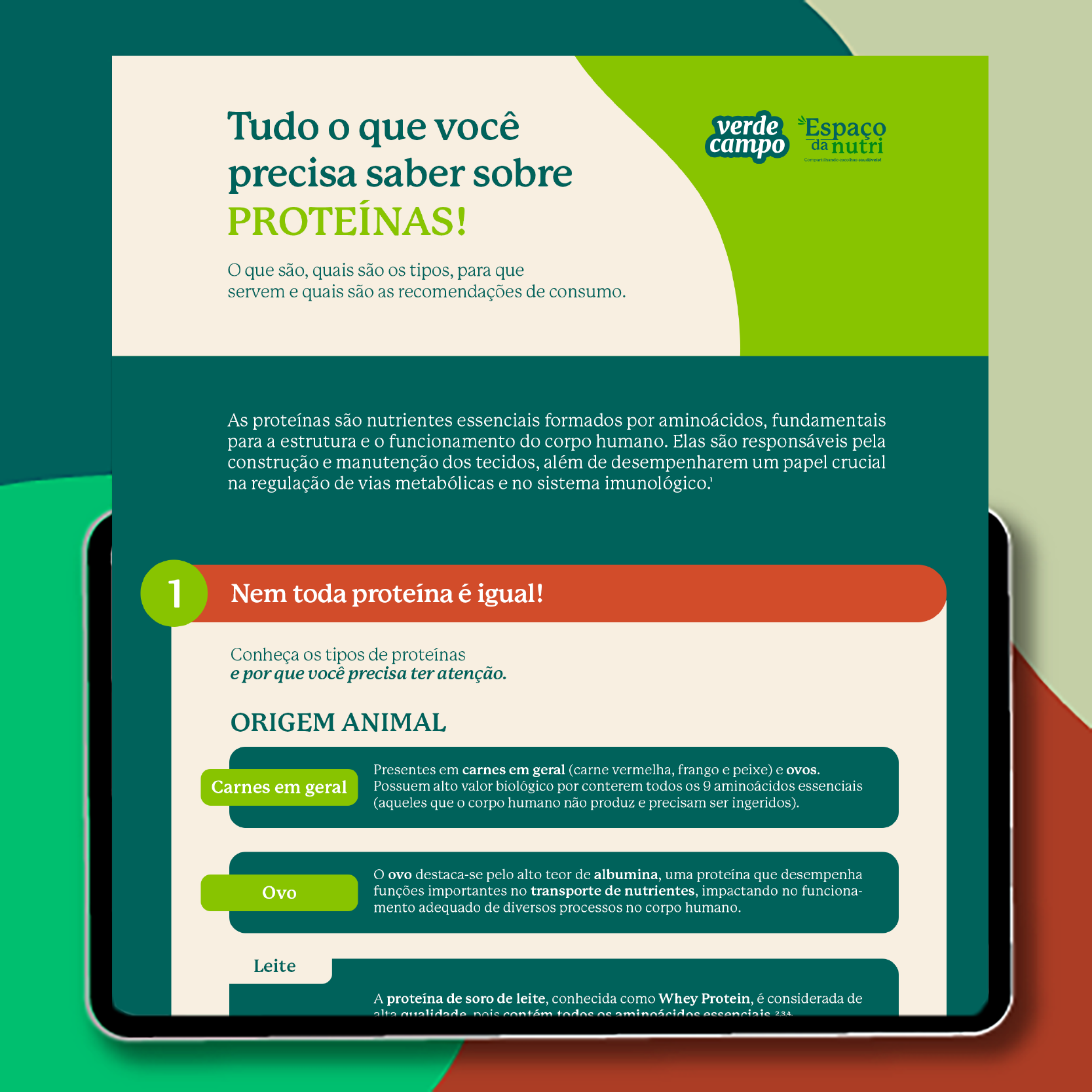 Imagem - Tudo o que você precisa saber sobre PROTEÍNAS!