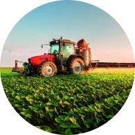 Agronegócio Agronegócio